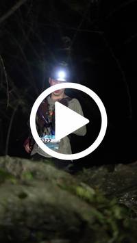 BIB:  <button type="button" onclick="openModal(27921383)" class="btn btn-primary btn-sm float-right" data-toggle="modal" data-target=".modal-high-quality">
                <i class="fa fa-download"></i> Download
                </button>